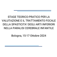 BANNER STAGE BOLOGNA 2024 BANNER STAGE BOLOGNA 2024