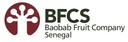 LOGO_BFCS_DEF_2009-02.jpg